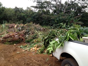Hanalei transfer (recycling) station
