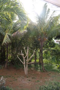 The effects of a chain saw massacre