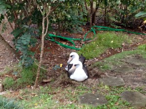 338-and-643-Nov-2013